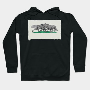 Bob Weir And Wolf Hoodie